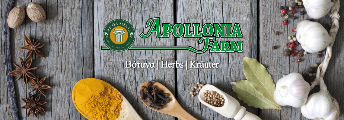 1140x400_banner_apollonia_kat_proionton6
