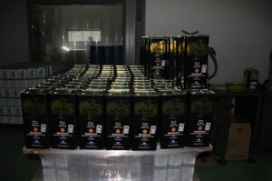 IMG 4562